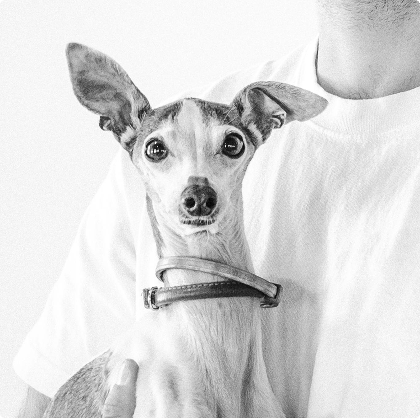 We keep our hiring process simple and focused.
After you apply, our team will review your portfolio and reach out if there’s a potential fit. Qualified candidates can expect:
A short intro call focused on your background and interests
A portfolio walkthrough and discussion of your work
A conversation with the team about how you think and approach design
Final steps include alignment on expectations, timeline, and next steps.
We move efficiently, communicate clearly, and aim for a strong mutual fit.